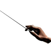 Conductors hands