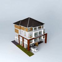 Duplex city house