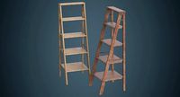 Step Ladder 1B