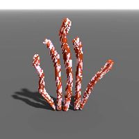 Voxel - Quads Bittersweet Coral - Low-poly 3D Model