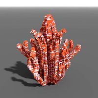 Voxel - Bittersweet Coral - Low-poly 3D Model