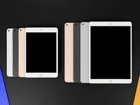 iPad Mini 5 2019 And iPad Air 3 2019 All Official Colors Bundle