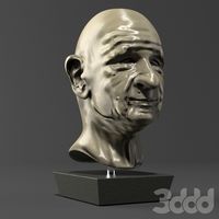 Head of Old Man (