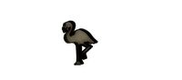 Cutter flamingo
