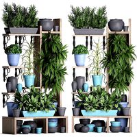 Collection Exotic plants 367