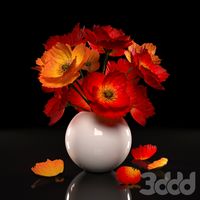POPPIES FLOWER