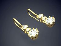 Girly Flower Earrings 1413 | 3D
