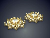 Luxurious Extravagant Flower-Shaped Earrings | 3D