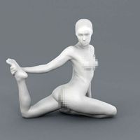 Yoga pose - Pigeon | 3D
