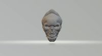 Wargaming Skull | 3D