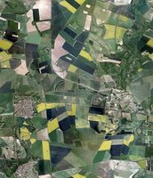 Aerial Fields Texture 3D Model