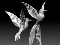 colibri humming bird | 3D