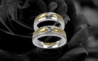 377 Luxury Diamond Wedding Ring | 3D