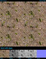 Sand with algae