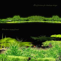 Set of textures for landscape desig