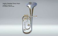 Tenor Horn Silver