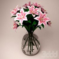 Flower - Lily Pink