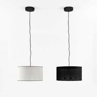 Moden ceiling light 3D Model