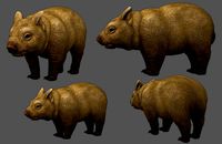Wombat
