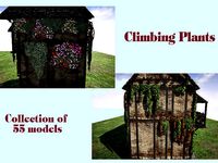 Climbing Plants 2 UNREAL