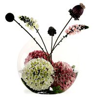 AQUARIUM OF FLOWERS