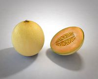 Melon