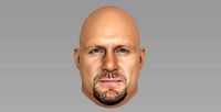 Stone Cold Steve Austin