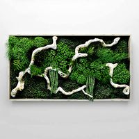 Moss fern and snag fytowall