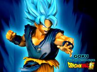 GOKU SUPERSAIYAN BLUE