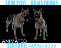 Dog Animated
