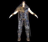 medieval character knight armor sword warrior