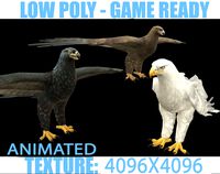 Eagle Animated