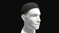 3D Hair Male Short Afro Hairstyles