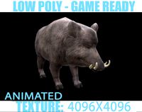 Boar animated