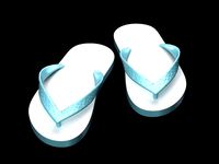 Flip flop havaianas
