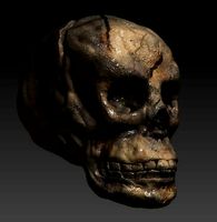 SKULL