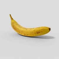 Banana 01 Lowpoly