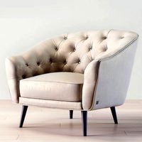 Busnelli Amouage Armchair