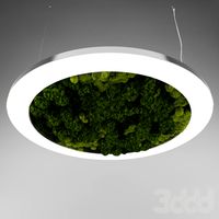 LUce Verde Anello
