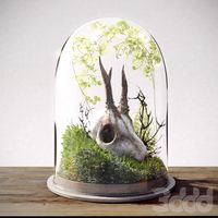 Skull in Flask