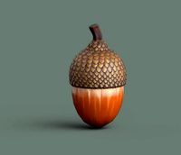 Acorn Low Poly