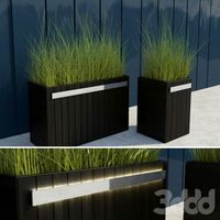 Modern Grasses II