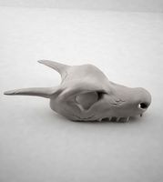 Skull Charizard