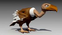 Vulture Toon Animated