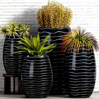 Decorative plant set-47