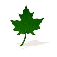 Maple Leaf cartoon