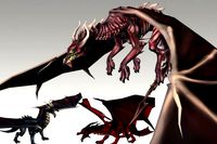 Dragon Pack