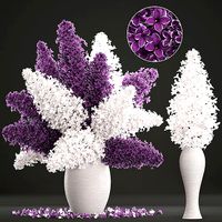 Bouquet of lilac