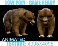 Bear Animated
