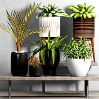 Decorative plant set-44